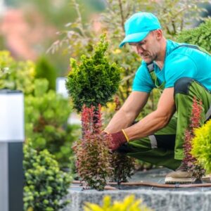 Gardener Position Description