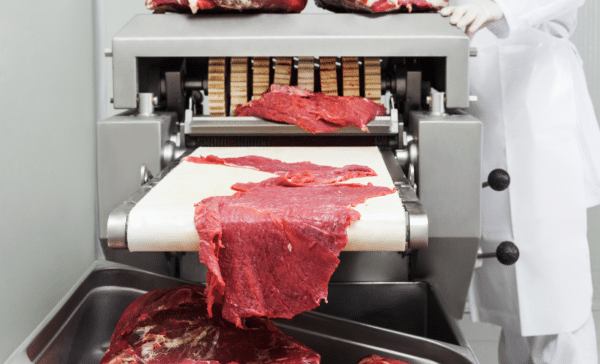 SWMS - Meat Tenderiser